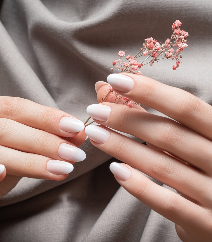 Female hands with white nail design. Female hands holding pink autumn flower. Woman hands on beige fabrick background